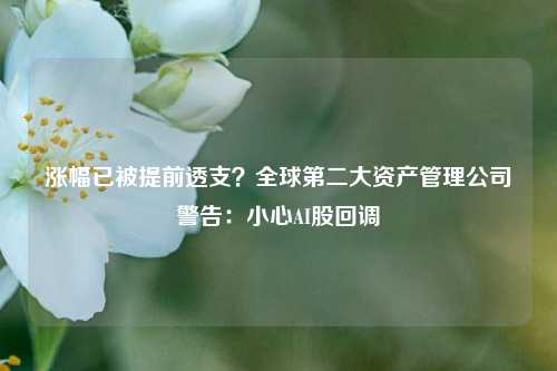 涨幅已被提前透支？全球第二大资产管理公司警告：小心AI股回调