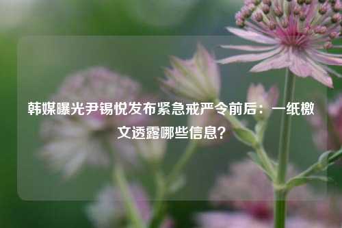 韩媒曝光尹锡悦发布紧急戒严令前后：一纸檄文透露哪些信息？