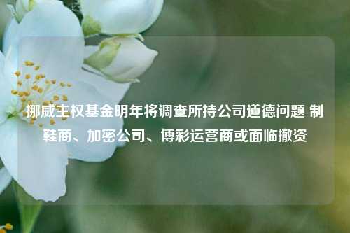 挪威主权基金明年将调查所持公司道德问题 制鞋商、加密公司、博彩运营商或面临撤资