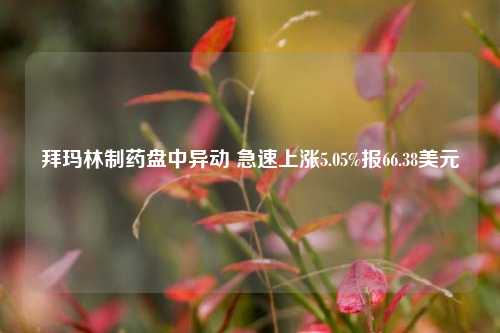 拜玛林制药盘中异动 急速上涨5.05%报66.38美元