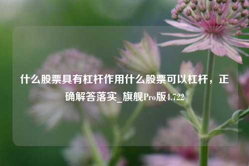 什么股票具有杠杆作用什么股票可以杠杆，正确解答落实_旗舰Pro版4.722