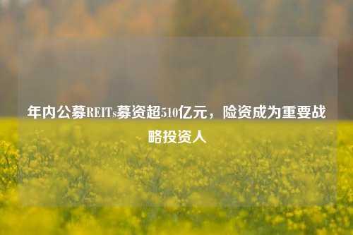 年内公募REITs募资超510亿元，险资成为重要战略投资人