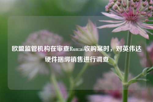 欧盟监管机构在审查Run:ai收购案时，对英伟达硬件捆绑销售进行调查