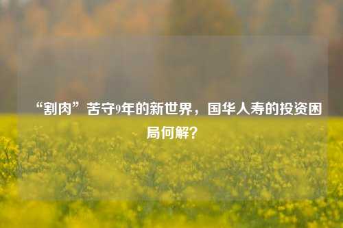 “割肉”苦守9年的新世界，国华人寿的投资困局何解？