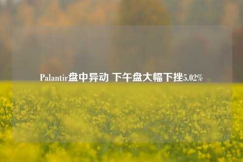 Palantir盘中异动 下午盘大幅下挫5.02%