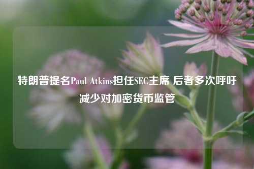 特朗普提名Paul Atkins担任SEC主席 后者多次呼吁减少对加密货币监管