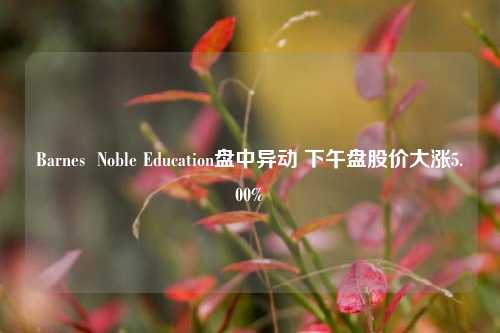 Barnes  Noble Education盘中异动 下午盘股价大涨5.00%