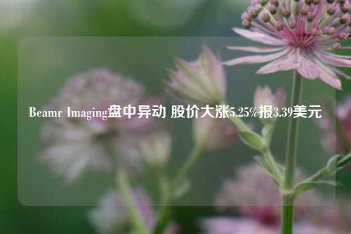 Beamr Imaging盘中异动 股价大涨5.25%报3.39美元