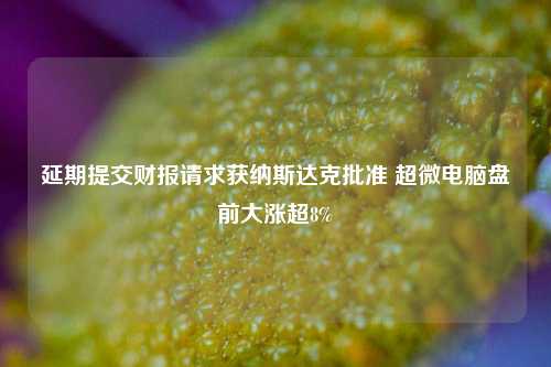 延期提交财报请求获纳斯达克批准 超微电脑盘前大涨超8%