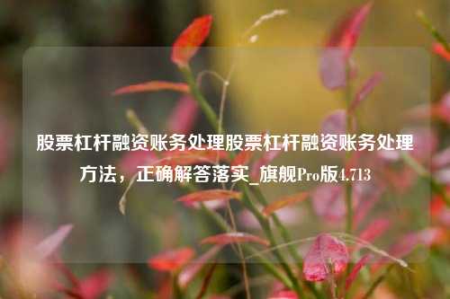 股票杠杆融资账务处理股票杠杆融资账务处理方法，正确解答落实_旗舰Pro版4.713