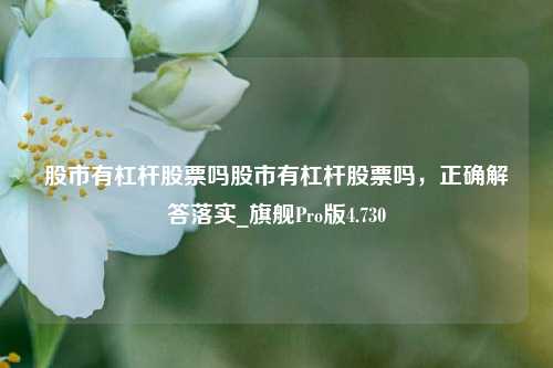 股市有杠杆股票吗股市有杠杆股票吗，正确解答落实_旗舰Pro版4.730