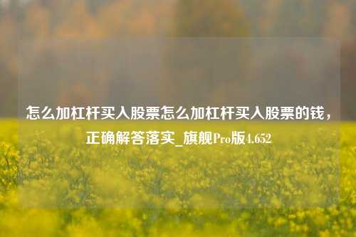 怎么加杠杆买入股票怎么加杠杆买入股票的钱，正确解答落实_旗舰Pro版4.652