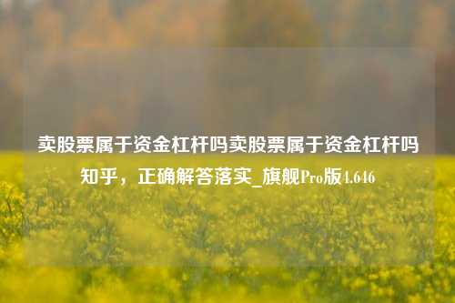 卖股票属于资金杠杆吗卖股票属于资金杠杆吗知乎，正确解答落实_旗舰Pro版4.646