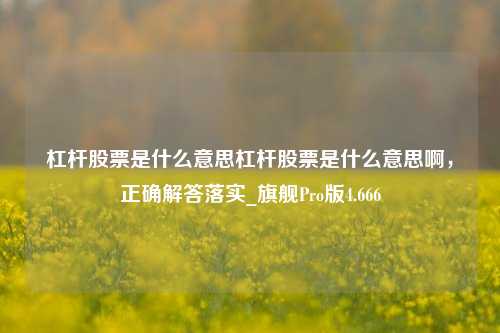 杠杆股票是什么意思杠杆股票是什么意思啊，正确解答落实_旗舰Pro版4.666