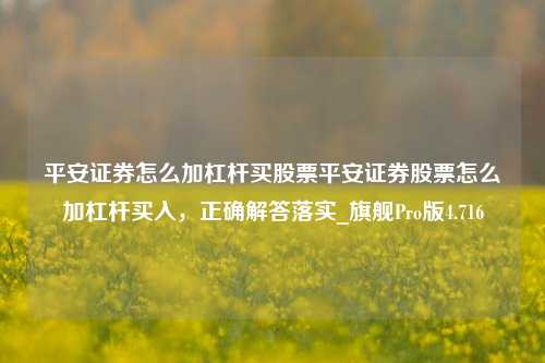 平安证券怎么加杠杆买股票平安证券股票怎么加杠杆买入，正确解答落实_旗舰Pro版4.716