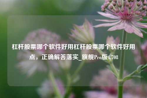 杠杆股票哪个软件好用杠杆股票哪个软件好用点，正确解答落实_旗舰Pro版4.708