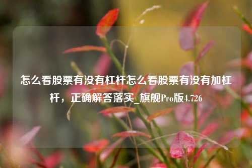 怎么看股票有没有杠杆怎么看股票有没有加杠杆，正确解答落实_旗舰Pro版4.726