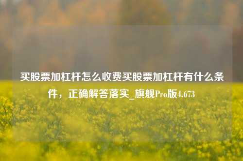 买股票加杠杆怎么收费买股票加杠杆有什么条件，正确解答落实_旗舰Pro版4.673